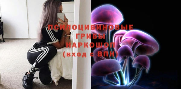 бошки Алексеевка