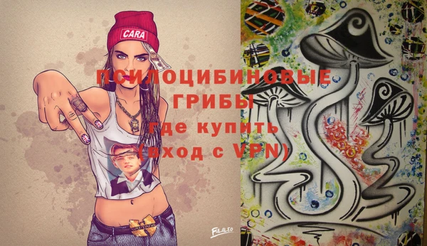 бошки Алексеевка