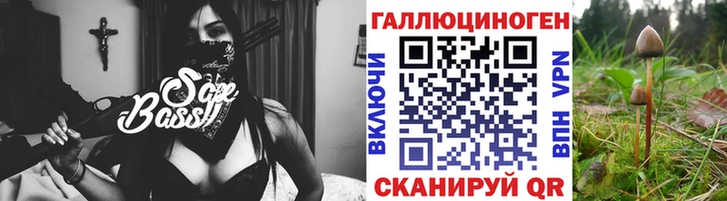 Псилоцибиновые грибы мухоморы  Дмитров 